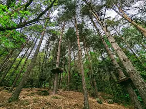 Parco Avventura