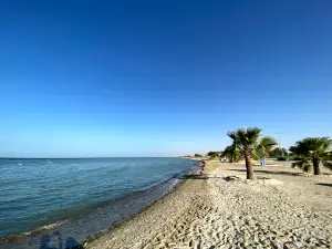Uqair Beach