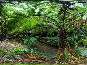 Honeycomb Cave
