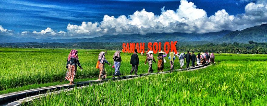 Obyek Wisata Hamparan Sawah Solok