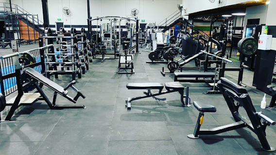Functional Fitness Plus