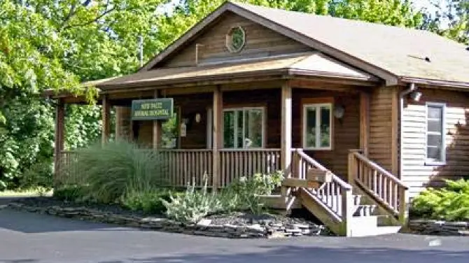 New Paltz Animal Hospital