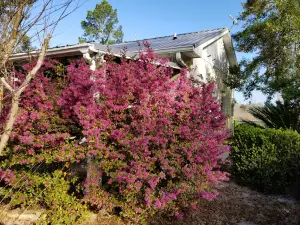 Futter's 4 Oaks RV Park