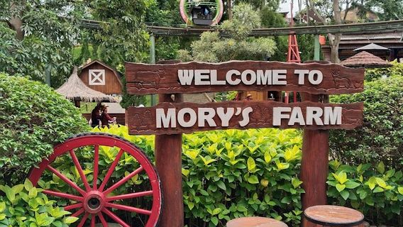 Cimory Dairyland On The Valley