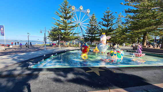Pelican Time with Marine Wildlife Rescue Central Coast