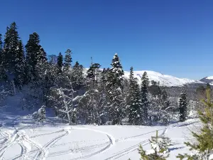 Лагонаки