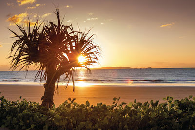 NRMA Capricorn Yeppoon Holiday Park