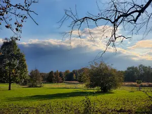 K-9 Field of Dreams Dog Park