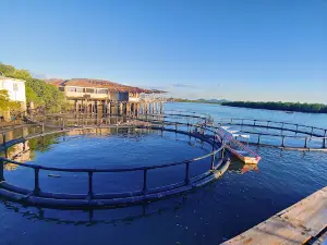 Muelle Historico 1932