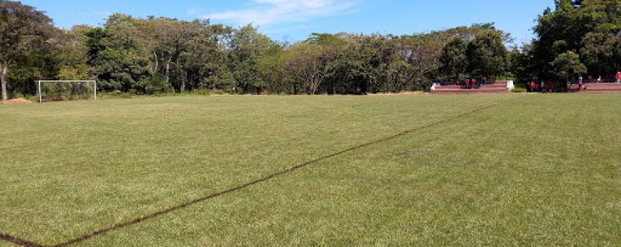 ESTADIO COMFACASANARE