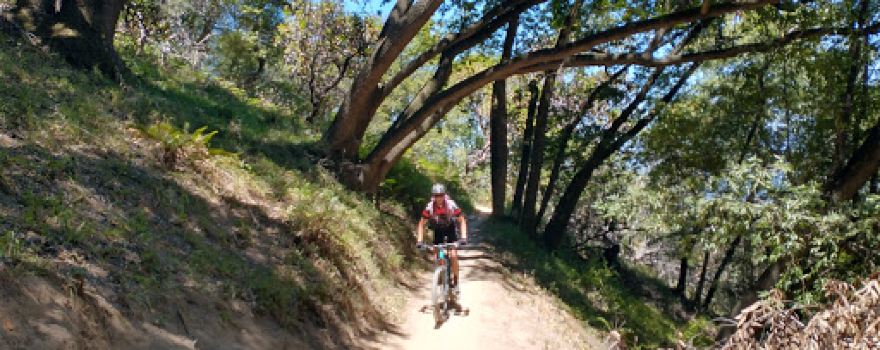 Back Ranch Meadows Campground