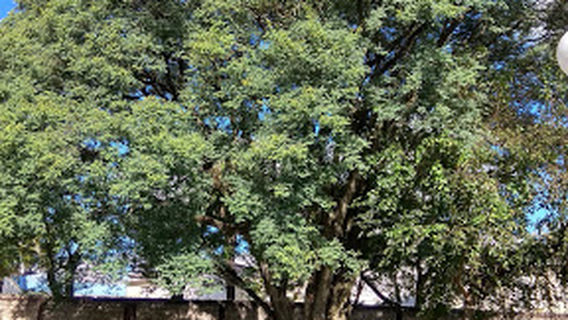 Parque Oriental
