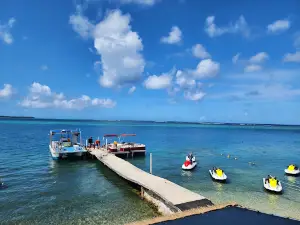 Bikini Island Club