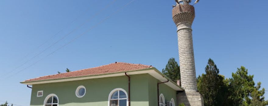 Selbasan Camisi