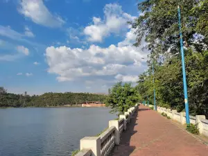 Mudwani Dam Eco Park (NCL)