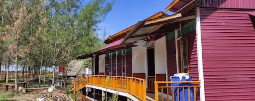 Konservasi Penyu - Pokmaswas Kambau Borneo Tanjung Api