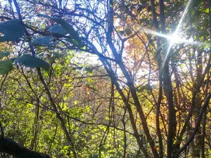 Centre Nature St-Basile de Portneuf