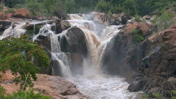 Lowveld National Botanical Garden