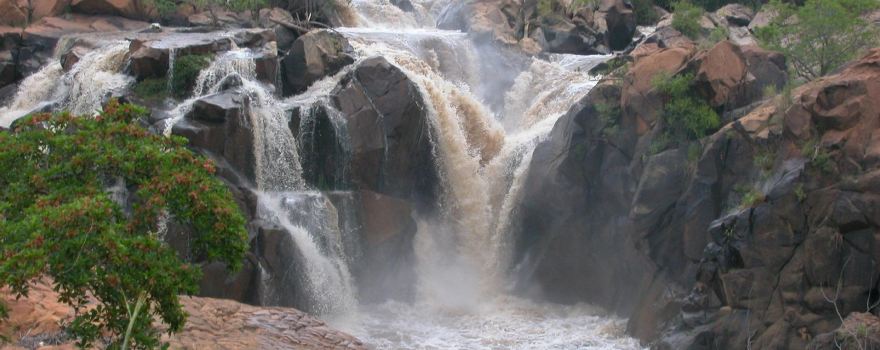 Lowveld National Botanical Garden