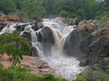 Lowveld National Botanical Garden