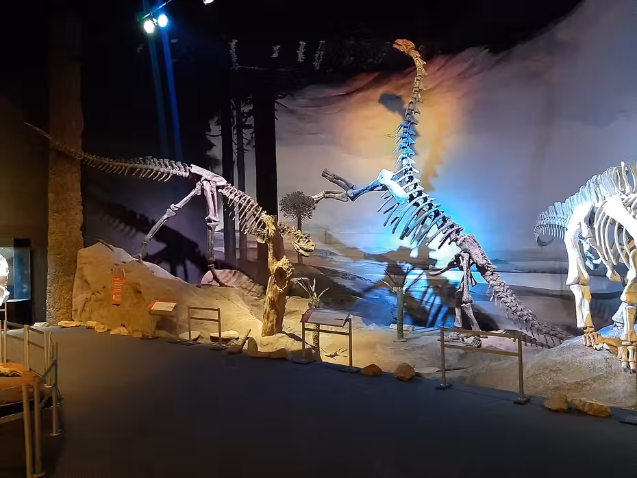 Vuelos ${{cityDName}} Trelew