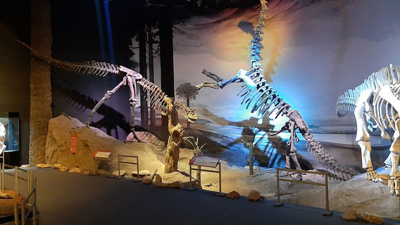 Egidio Feruglio Paleontological Museum