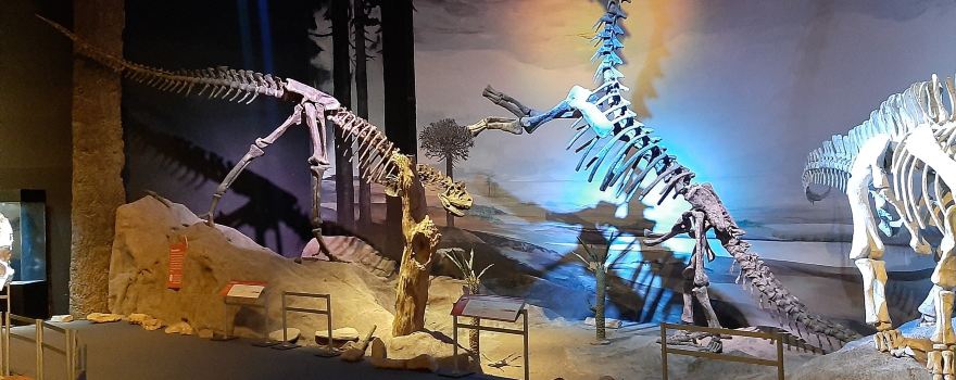 Egidio Feruglio Paleontological Museum