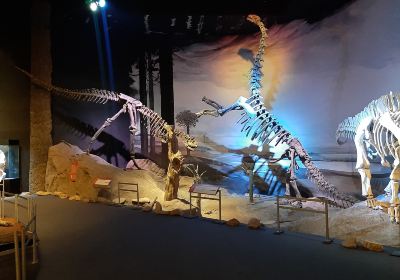 Egidio Feruglio Paleontological Museum