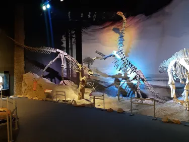 Egidio Feruglio Paleontological Museum