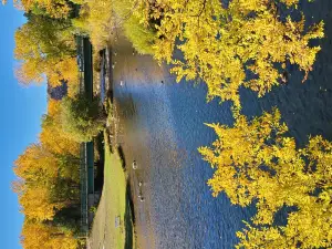 Canyon Lake Park