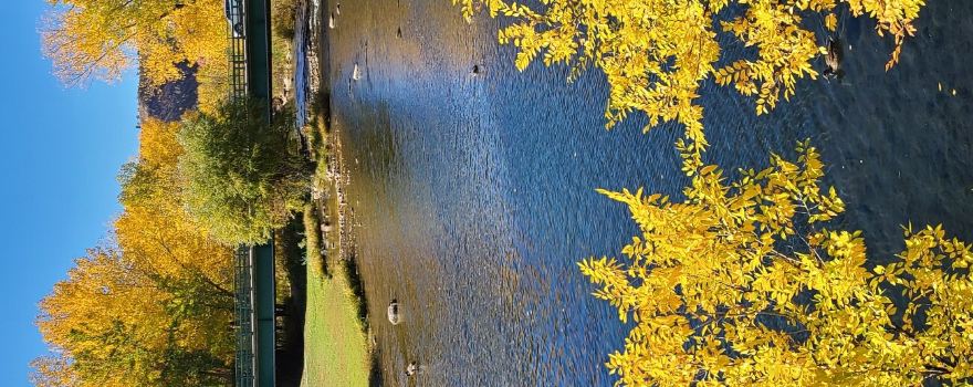 Canyon Lake Park