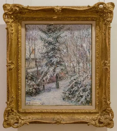 Museo Hecht