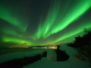 Aurora Excursion