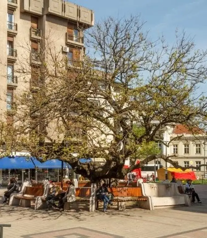 Smederevo