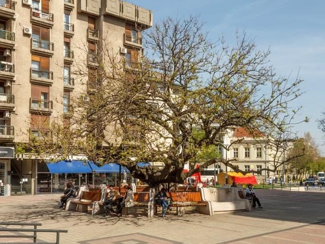 Smederevo