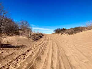 Little Sahara State Park