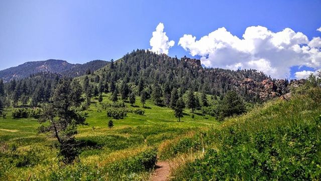 Starsmore Visitor and Nature Center