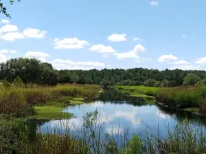 Caw Caw Interpretive Center