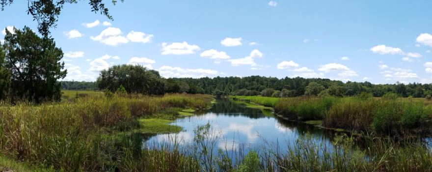Caw Caw Interpretive Center
