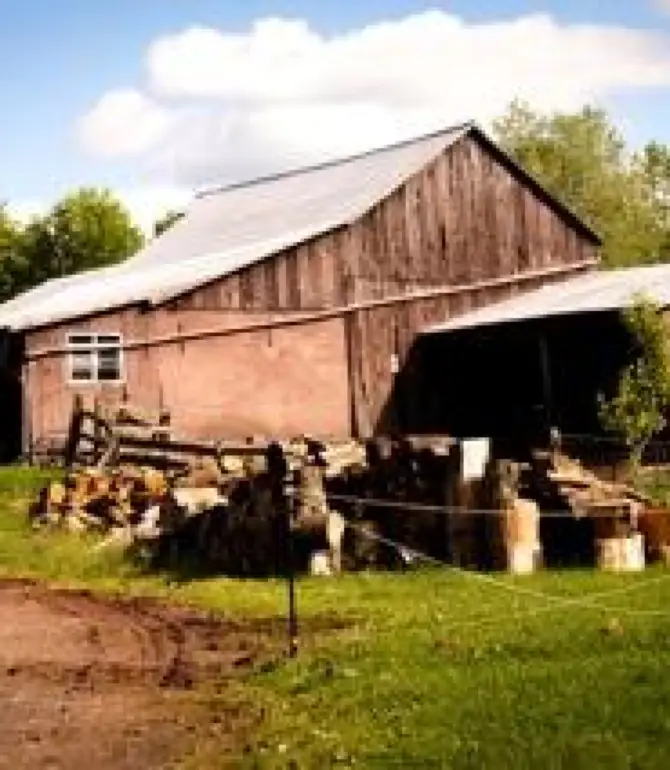 Callicoon