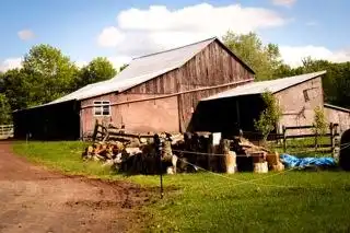 Callicoon