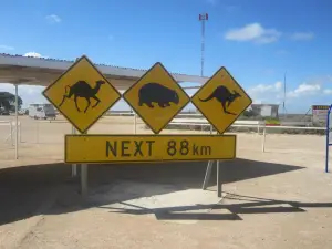 Nullarbor Links
