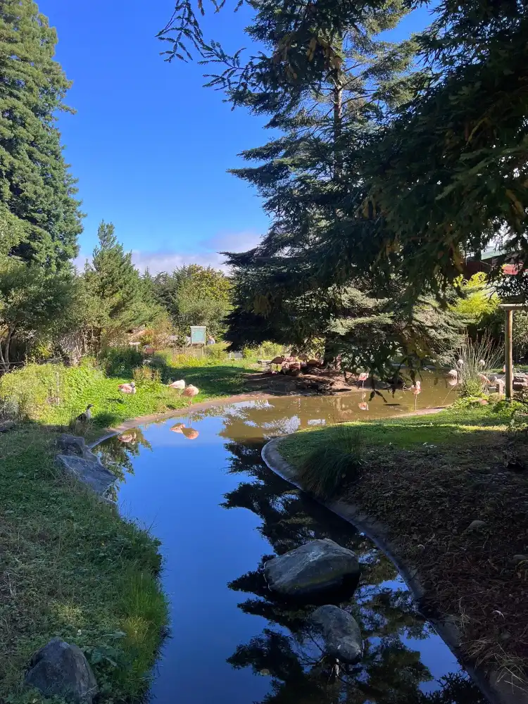 Hotels near Sequoia Park Zoo