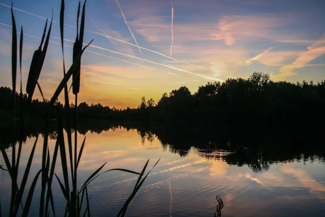 Hotels in der Nähe von Langener Waldsee