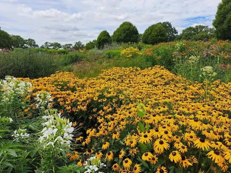 Woodmancote