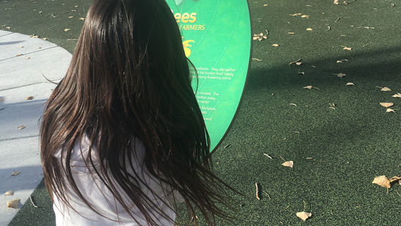 Patterson Lake Recreation Area