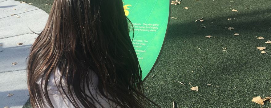 Patterson Lake Recreation Area