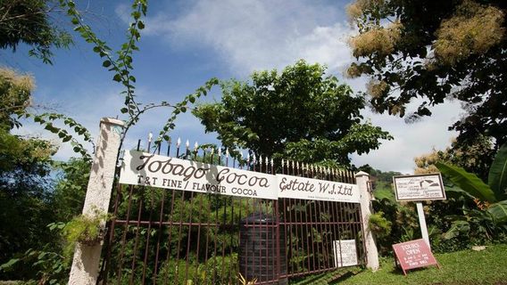 Tobago Cocoa Estate