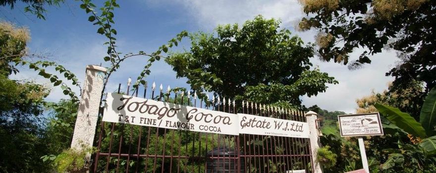 Tobago Cocoa Estate