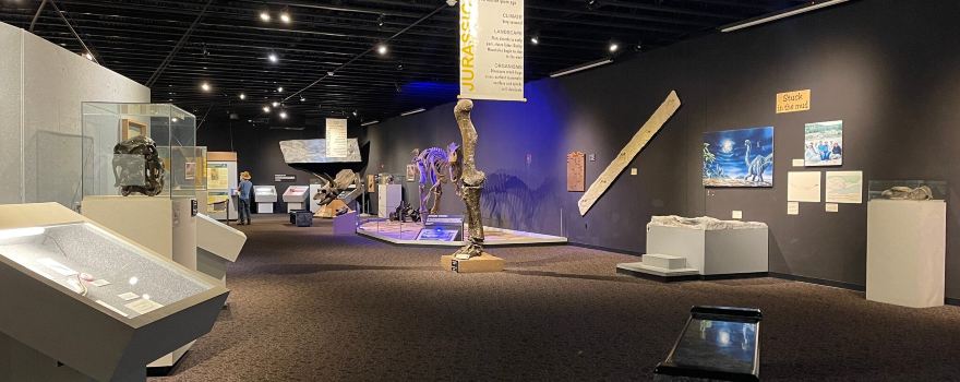 Mesalands Dinosaur Museum and Natural Sciences Laboratory